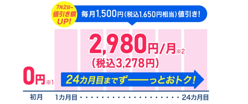 ダブルビー〜46000円(税別)相当 粗く