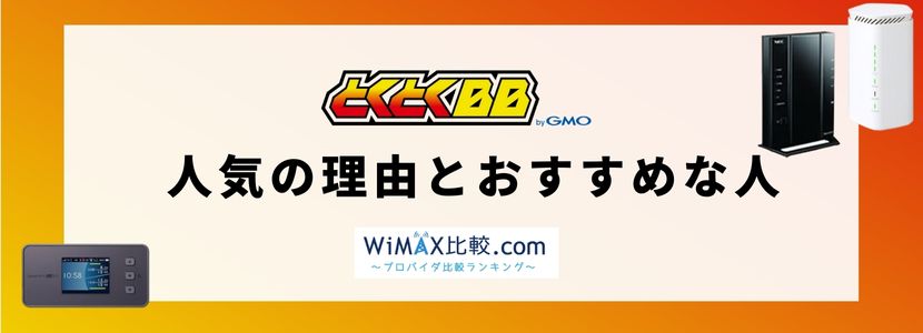 gmo とくとく bb 安い おすすめ