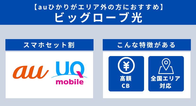  ビッグローブ光の紹介