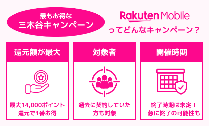 三木谷キャンペーンの特徴とは？