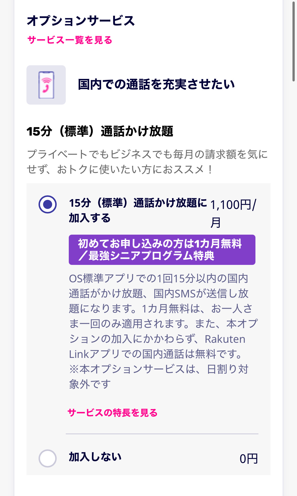 申し込み画面でのオプションサービス