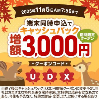 ビッグローブワイマックス3000円クーポンコード